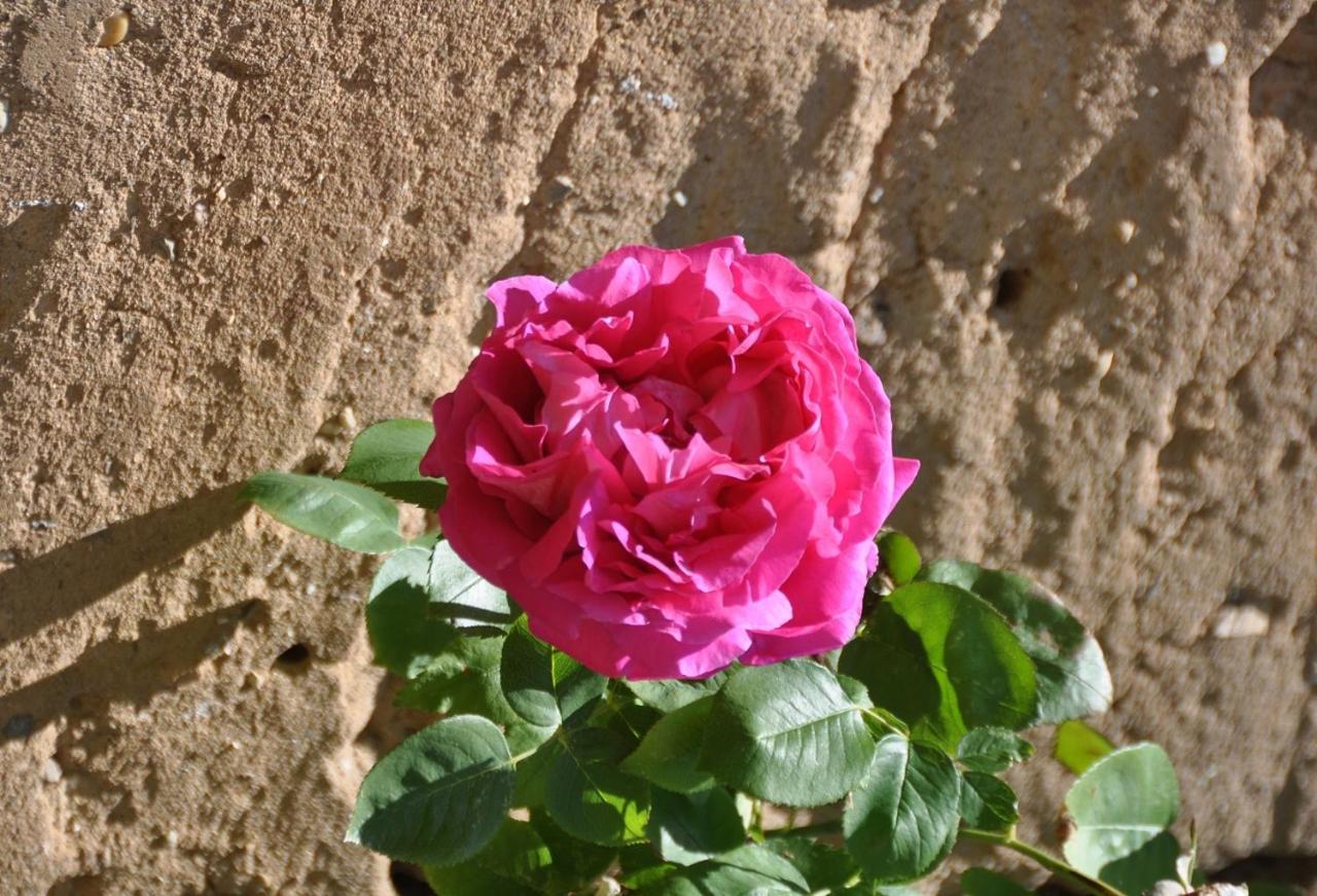 דירות Saint-Jean-d'Avelanne Le 505 מראה חיצוני תמונה